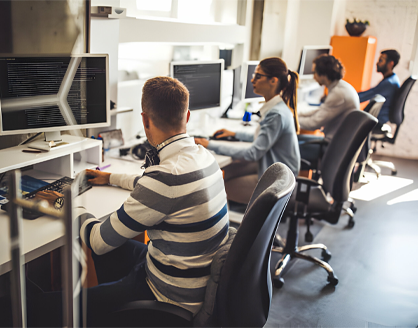 Team members at work